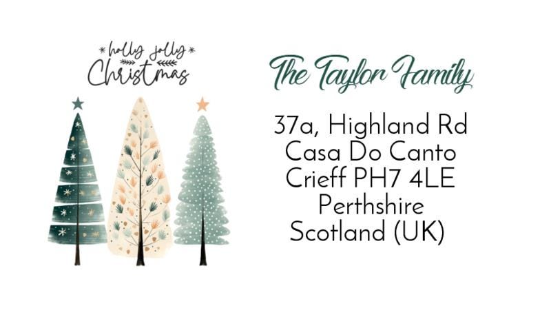 Christmas Address Labels rectangle personalised Christmas stickers business stickers